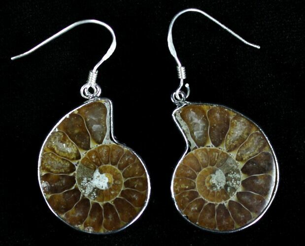 Stylish Fossil Ammonite Earrings #21060